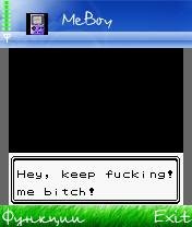 pokemon pimp golden grills 897