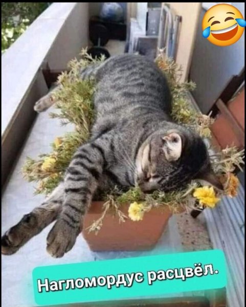 FB IMG 1777225914884