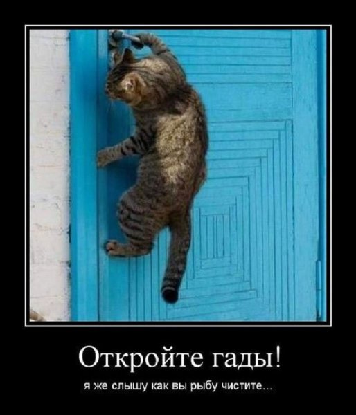 Откройте...