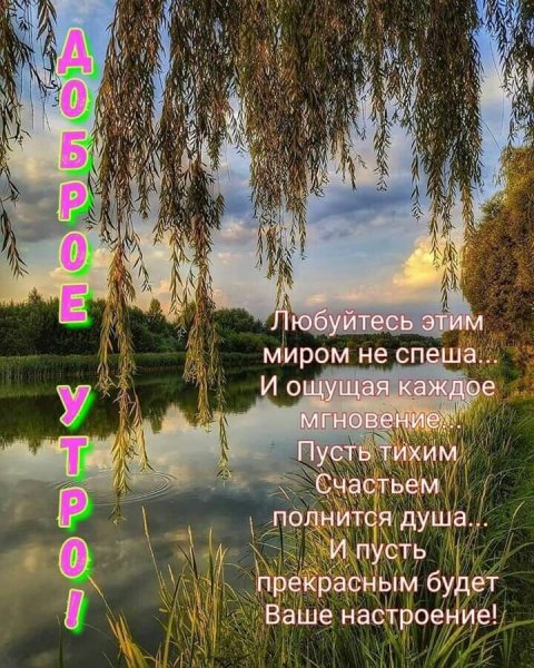 file_81869526