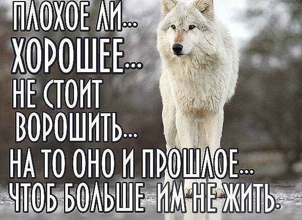 Прошлое