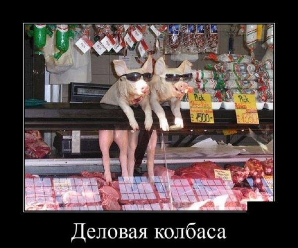 Деловая колбаса