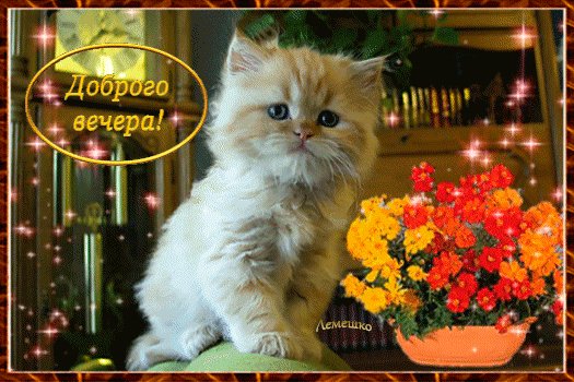 Анимированная открытка доброго вечера