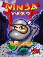 NinjaWarriors 176x220