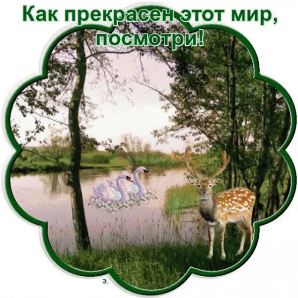 file_79562313