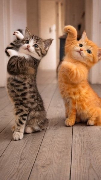 FB IMG 1774618608262 (1)