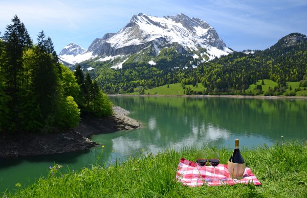 Coast Rivers Mountains Wine Picnic Bottle Grass 550131 2780x1