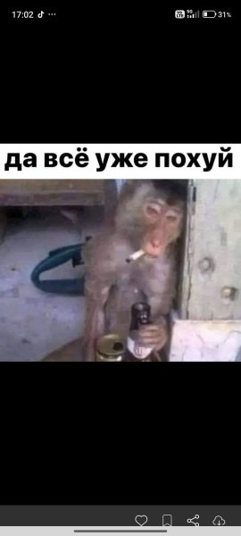 FB IMG 1776781672573