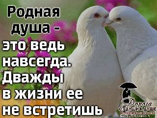 Rodnaya duwa-yeto navsegda