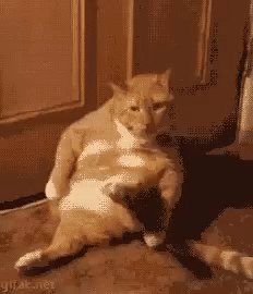 gif 1468501322