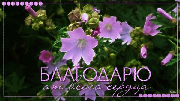 file_72893084