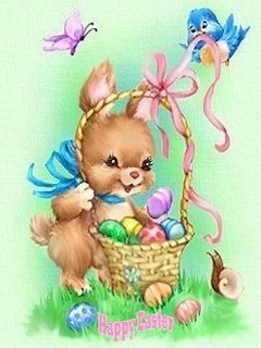 little bunny 02