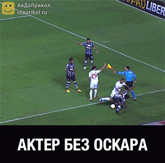 анимсч20