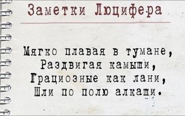 8a4b0bb6ab920baac6127b4de6edabc8
