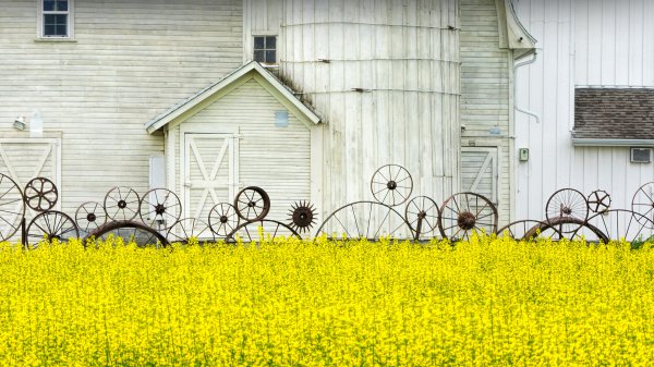 IdahoBarn ROW0793911337 UHD