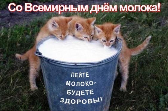Открытка со всемирным днём молока пейте