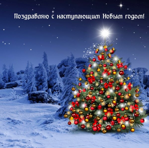 file_92350713