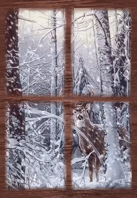 gif 1479144234