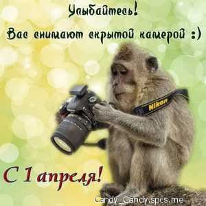С 1 апреля