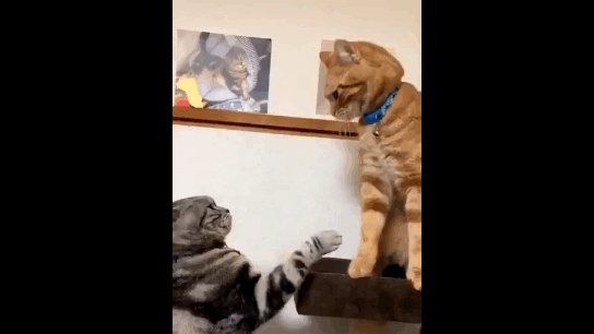 ))