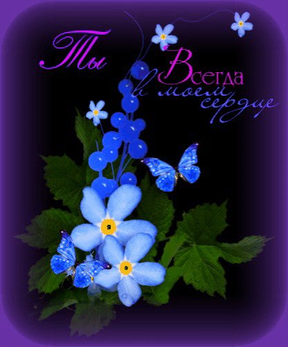 в моем сердце 0