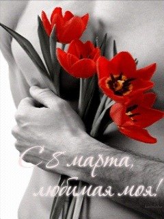 ebb3f99d4ca93ea4e7629a2e382f5