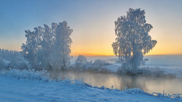 Звенящая красота