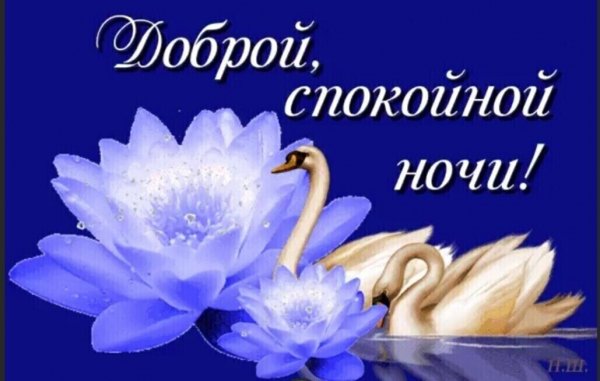 Доброй ночи