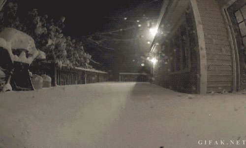 Winter