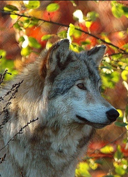 IMG 20190804 144214 562