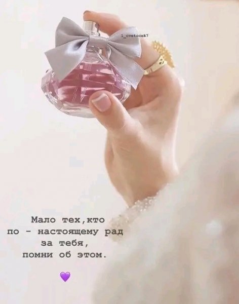 IMG 20260221 021025
