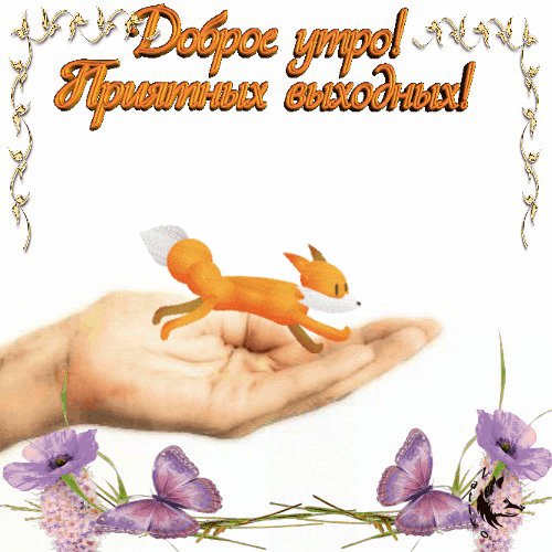Доброе утро