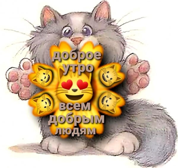 file_89870042