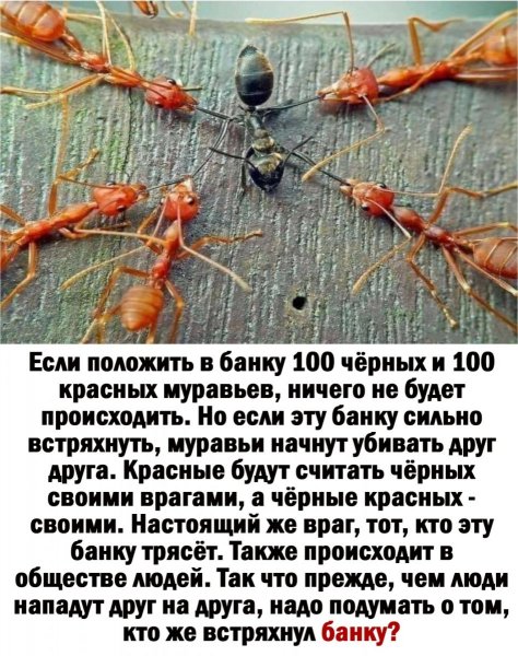 p.1200.1200.0