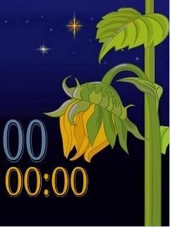 morning afternoon evening night 4 pics clock sunflower