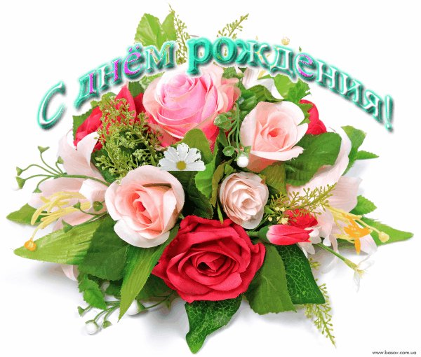 Бук.ж и алых розСДР