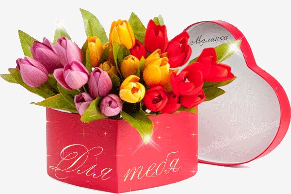 Тюльпаны в коробке