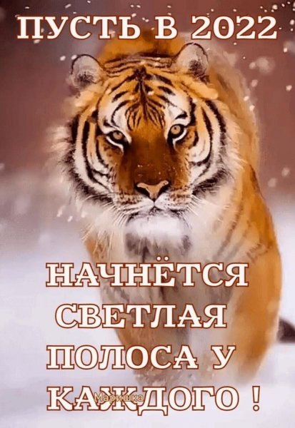 file_89228986