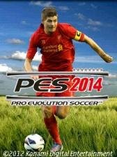 PeS 2014 Standart