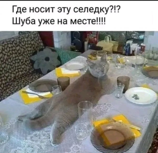 file_103189473