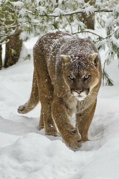 file_95414702