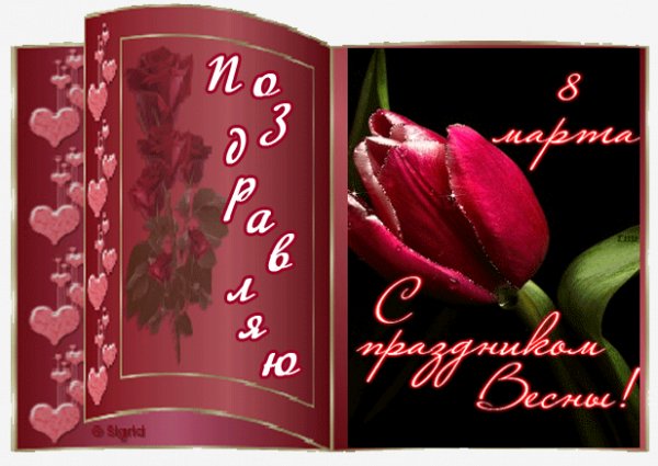 0 ade9d c5da798 XL