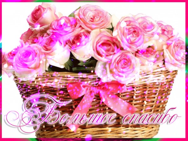 Pink-roses-in-a-basket-435-1024x768
