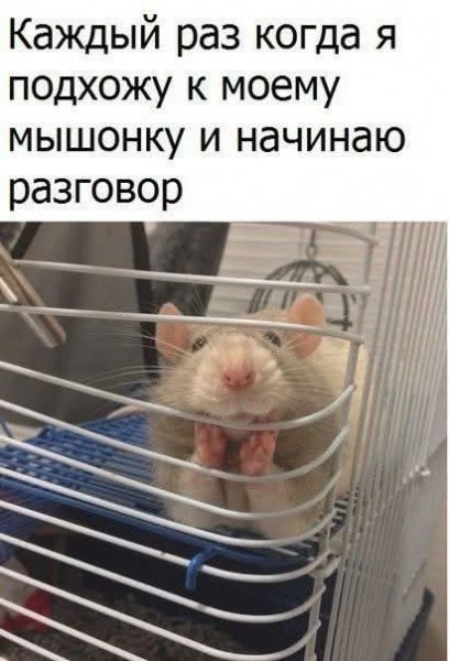 FB IMG 1778784750243