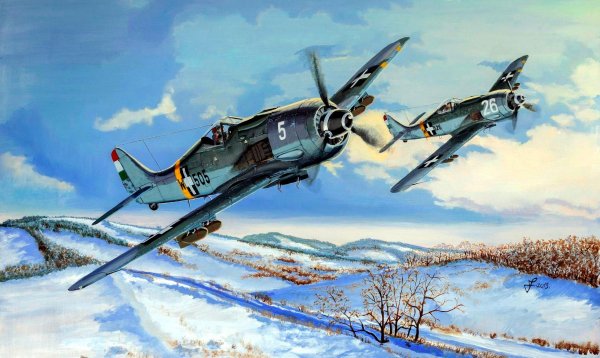 Венгерские Фокке-Вульфы (Copy)