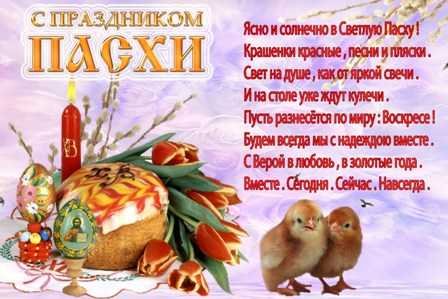 pasha pozdr