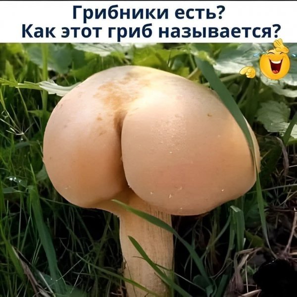 FB IMG 1775502332449