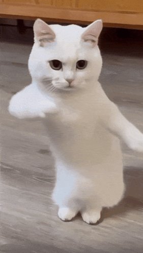 e05c6d065c7d504418085ea43c694