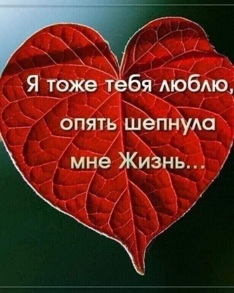 e369a04fc16d747b0888a4089f