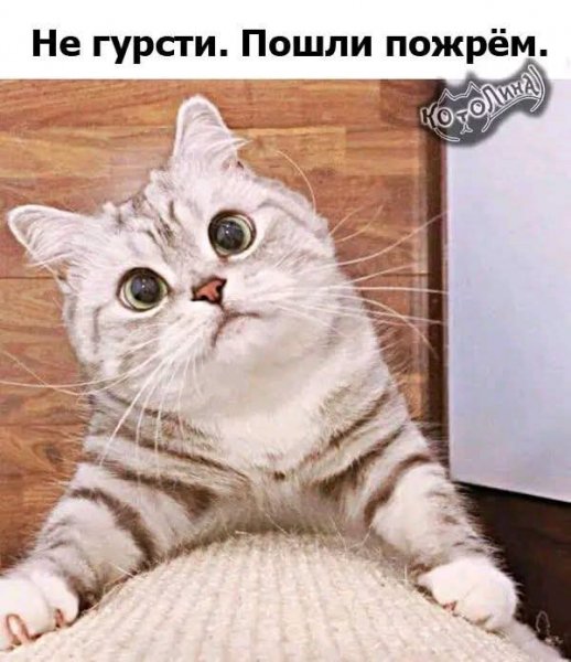 FB IMG 1777234616382